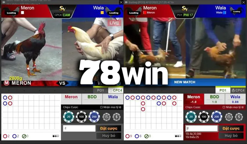 78WIN – thiên đường đá gà trực tuyến hàng đầu Đông Nam Á, nơi chiến kê hóa anh hùng, và người chơi hóa nhà vô địch